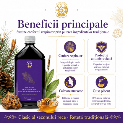 Leac Bătrânesc pentru Tuse și Bronșii – Sirop Muguri de Pin, Pătlagină și Propolis | 500ml - Spiteria Vraciului