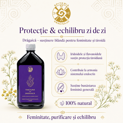 Tinctură de Drăgaică – Echilibru Hormonal și Sănătatea Tiroidei | 500ml - Spiteria Vraciului