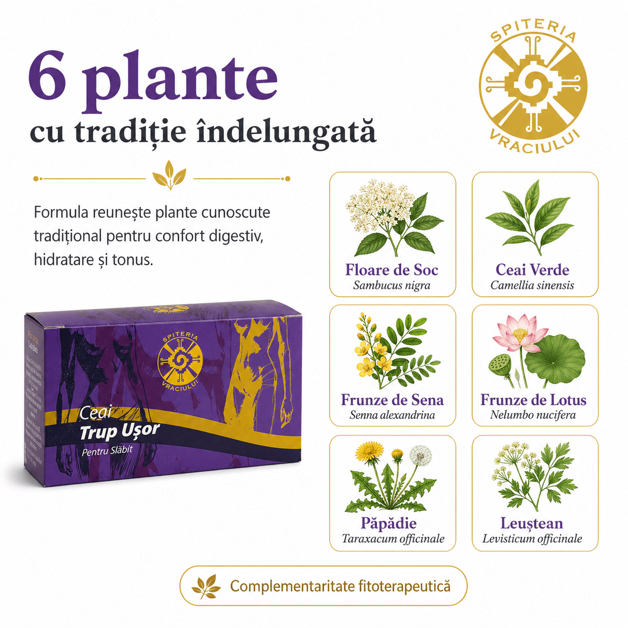 Ceai Natural pentru Slăbit și Detoxifiere – Trup Ușor - Spiteria Vraciului
